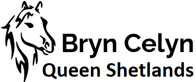 bryncelynqueen